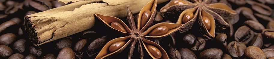 Панель высокогл. STEKLU-NET 6х2800х600 Кофе и корица