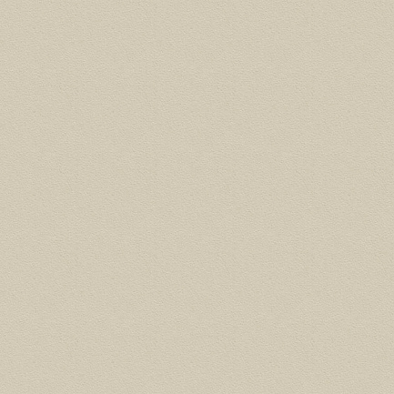 ЛДСП Бежевый 16х2500х1830