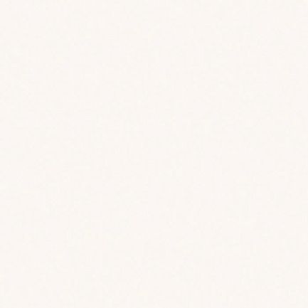 Столешница ДАНА 38х600х3000 R5 1011 Белый (мат)