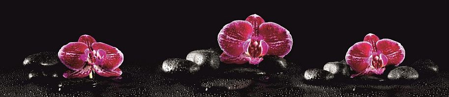 Панель высокогл. STEKLU-NET 6х2800х600 Орхидеи (розов.)